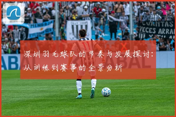 深圳羽毛球队的节奏与发展探讨：从训练到赛事的全景分析