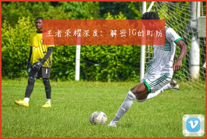 王者荣耀深度：解密IG的盯防