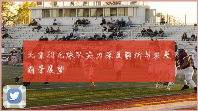 北京羽毛球队实力深度解析与发展前景展望