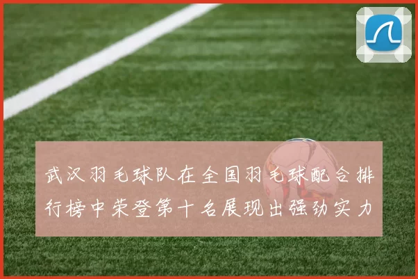 武汉羽毛球队在全国羽毛球配合排行榜中荣登第十名展现出强劲实力与团队默契