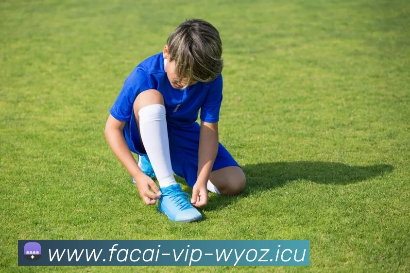 米兰体育平台生态图